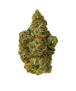 Gush Mintz – Egzotyczne Cannabis