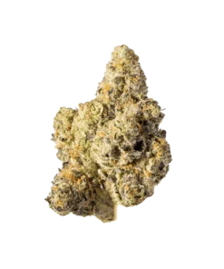 Pink Lemonade – kup egzotyczne konopie (THC 20,72%)