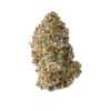 Purple Punch na sprzedaż - Egzotyczny Kwiat THCa 25.60%