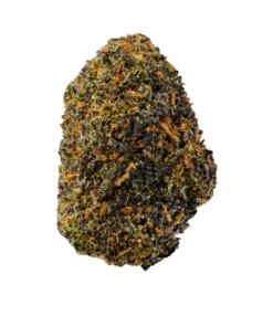 Rainbow Runtz - Egzotyczna odmiana cannabis