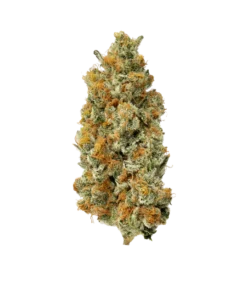 Super Goof - Egzotyczna Marihuana | 24% THC Hybryda 50:50