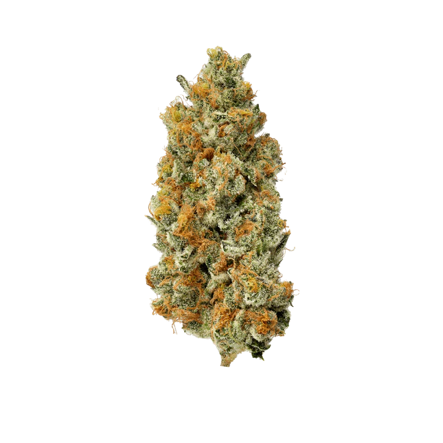 Super Goof - Egzotyczna Marihuana | 24% THC Hybryda 50:50