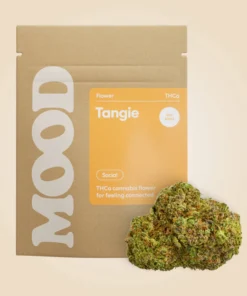 Tangie na sprzedaż - Sativa Hybrid (28.89% THC)