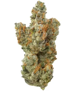 Frostade THCa Kwiat - Egzotyczny Hybrid (Lemondary x Zoda)