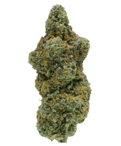 Gelato 41 kup - Egzotyczne kwiaty THCa (23.72%)