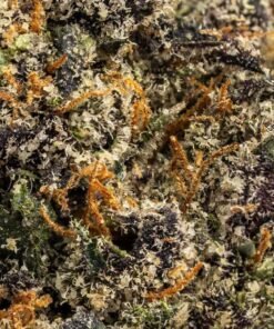 Kup Gumbo - Egzotyczna Hybryda 19.75% THC