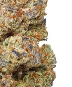 OG Kush THCa Kwiat - Kultowa Genetyka z West Coast