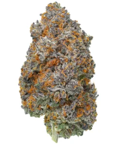 Kwiat THCa Garlic Cocktail - Egzotyczna Marihuana