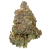 Królewski Royal Kush THCa - Kup Kwiat Indica Online