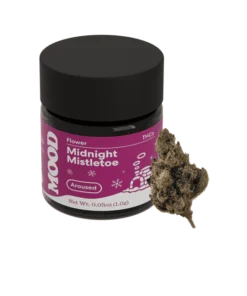 Midnight Mistletoe – Egzotyczna Cannabis