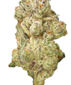 Secret Weapon THCa Kwiat - Egzotyczny Szczep Hybrydowy