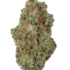 Colombian Gold THCa Kwiat - Legendarna Sativa Landrace 30%