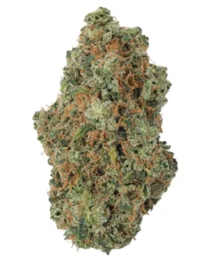 Colombian Gold THCa Kwiat - Legendarna Sativa Landrace 30%