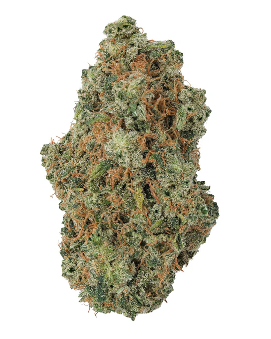 Colombian Gold THCa Kwiat - Legendarna Sativa Landrace 30%