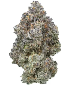 Pink Certz kupić - Egzotyczny Kwiat THCa (25.17%)